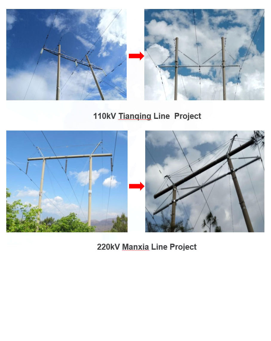 110kV Tianqing Line & 220kV Manxia Transformation Line Project